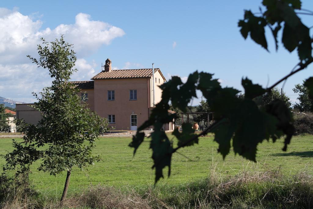 Podere Le Spighe Guest House Castroncello Екстериор снимка