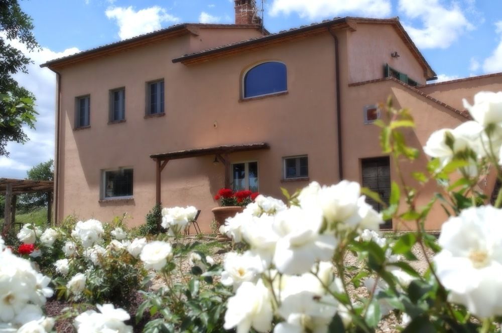 Podere Le Spighe Guest House Castroncello Екстериор снимка